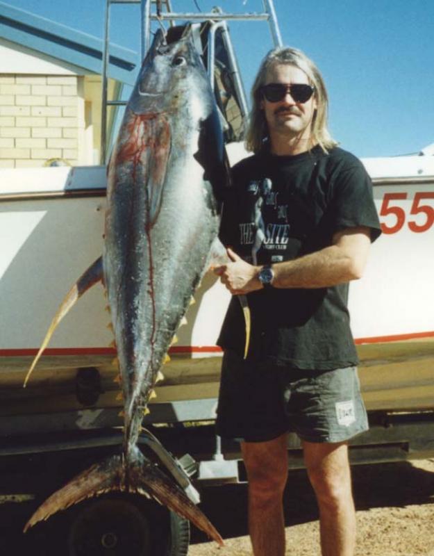 Tuna, Yellowfin - 50kg Yellowfin Tuna caught at Jurien Bay on 15kg - Bob Fisher -SportfishWorld © Copyright 2003 All rights reserved