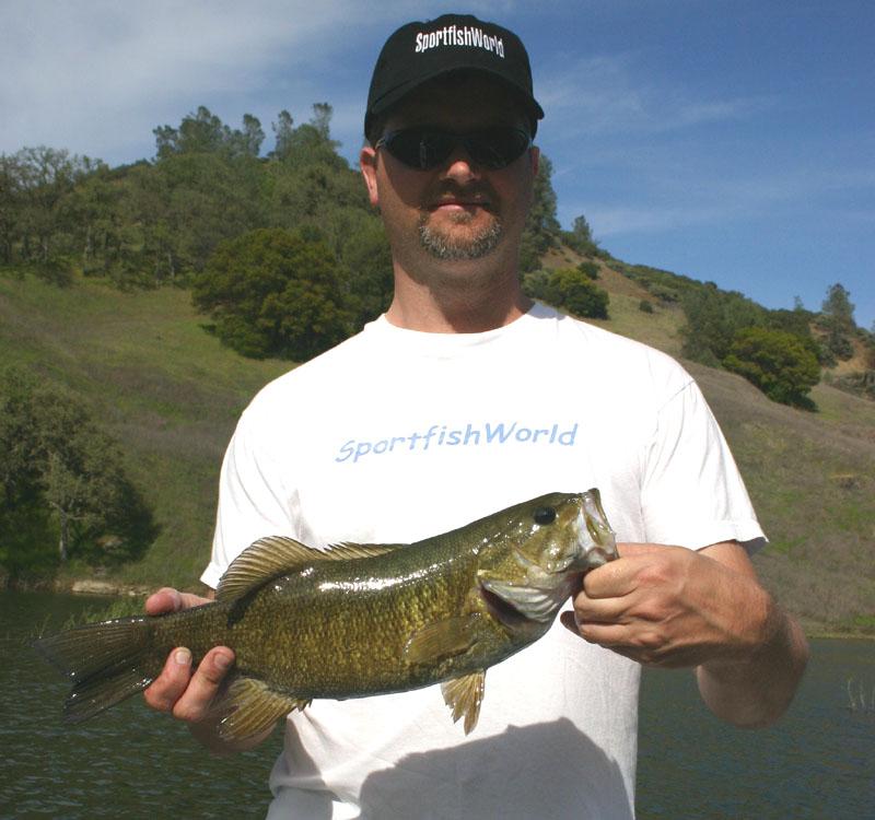 Bass, Smallmouth - Tim McDaniel with a Lake Berryessa Smallmouth Bass
Photo Bob Fisher. -SportfishWorld © Copyright 2003 All rights reserved