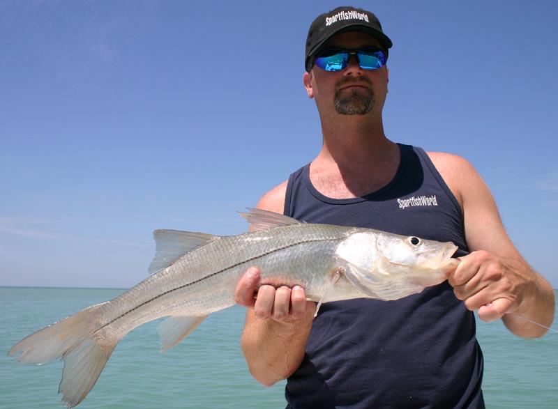 Snook - Tim McDaniel with a Snook that was caught near Sanibel Island (Gulf of Mexico) Florida while on a charter with Capt. Kirk San Cartier. Photo by Bob Fisher. -SportfishWorld © Copyright 2003 All rights reserved