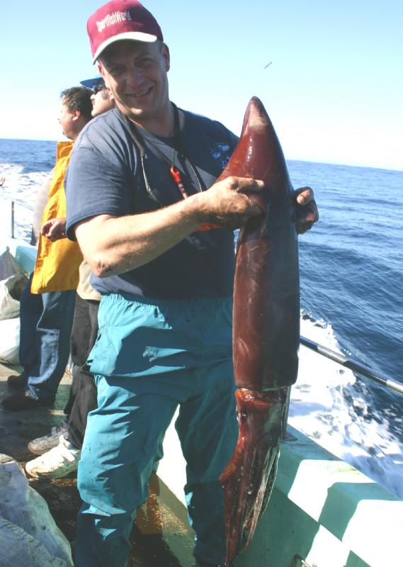 Squid, Giant Humboldt - RICH PHARO on the Giant Humboldt Squid Trip aboard the New Sea Angler at the Cordell Bank off Bodega Bay in 2006 -  photo Bob Fisher. -SportfishWorld © Copyright 2003 All rights reserved