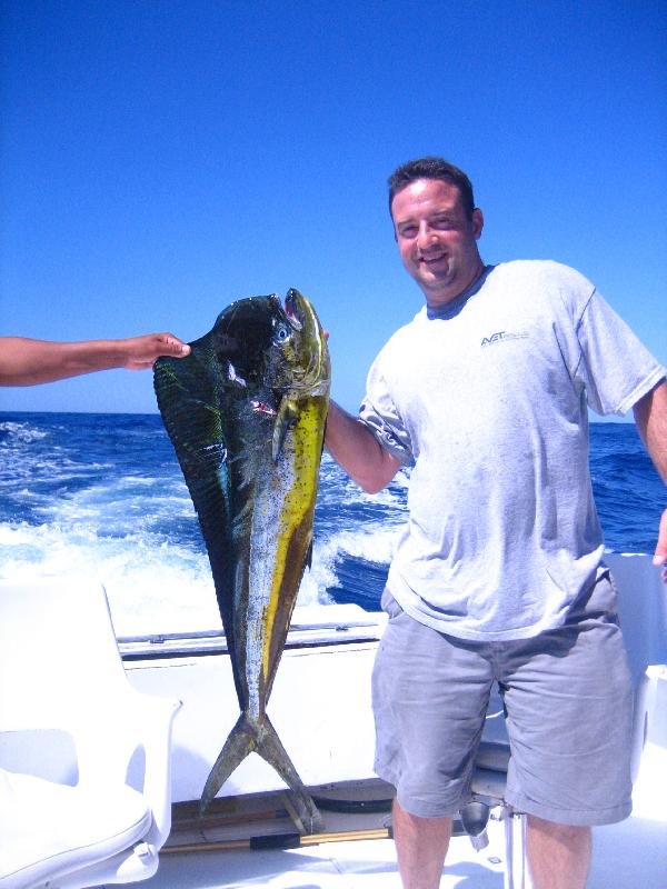 Dorado -  One of 4 Dorado, 7 Striped Marlin, 1 Black Marlin and 3 Yellow Fin Tune. Good day of fishing in Cabo. Fishing spot Golden Gate, Time of year end of Oct. C Web -SportfishWorld © Copyright 2003 All rights reserved
